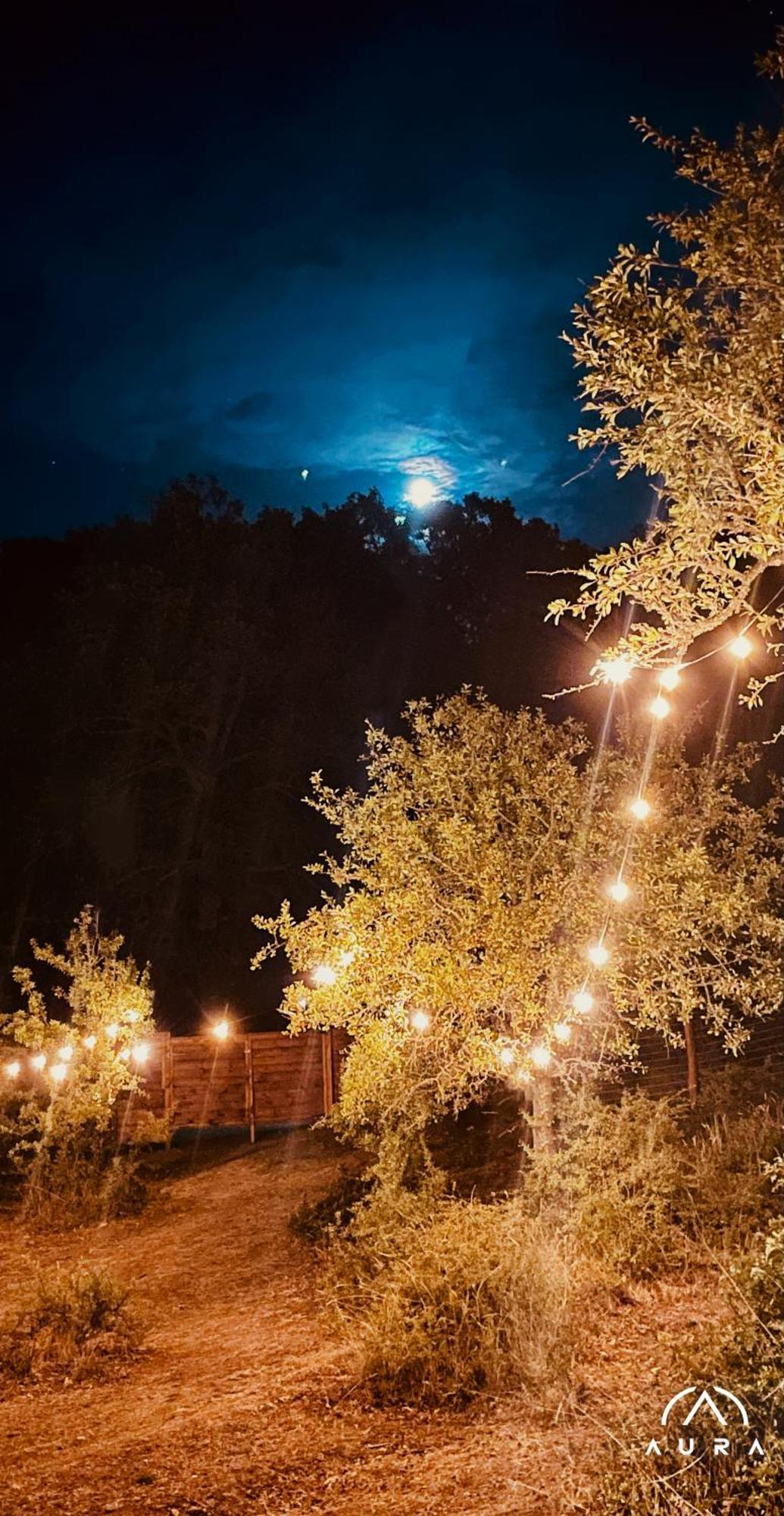 Aura - Glamping Experience Hotel Accettura Exterior foto